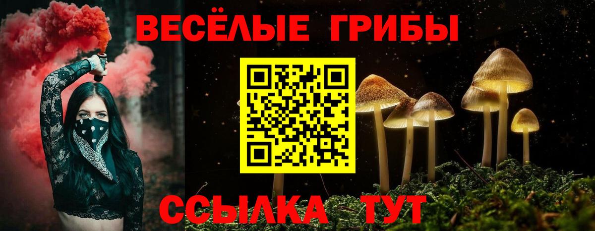 Ленинск-Кузнецкий  Псилоцибиновые грибы прущие грибы  Вход с VPN 